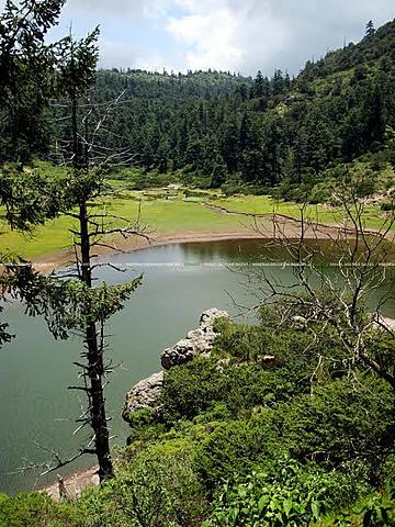 Primer parque Nacional México (Monte Vedado)