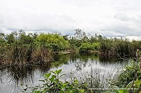 Convención sobre los Humedales