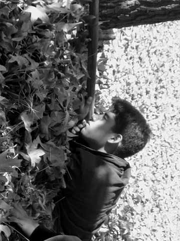 Término de I Guerra Mundial