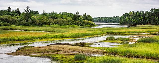 Convención sobre Humedales