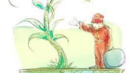 Timeline: Antecedentes del desarrollo turístico sustentable.