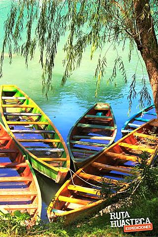 Año internacional del ecoturismo