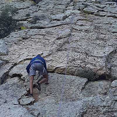 Timeline: Fundamento Nutricion Pablo Gonzalez