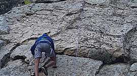 Timeline: Fundamento Nutricion Pablo Gonzalez