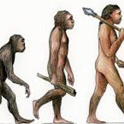 Timeline: A orixe do home e o proceso de hominización.