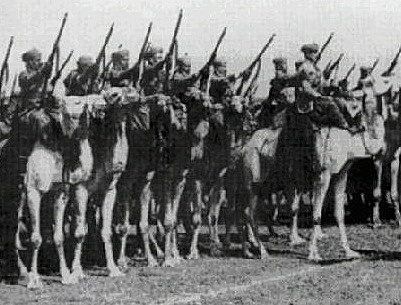 Los Aliados toman el Noroeste de Africa