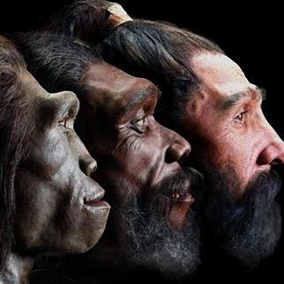 Timeline: HOMONIZACIÓN