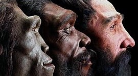 Timeline: HOMONIZACIÓN