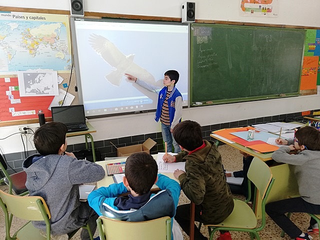 Proyecto de ornitología.