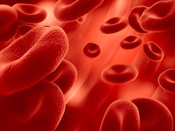 Heparina utilitzada com a anticoagulant