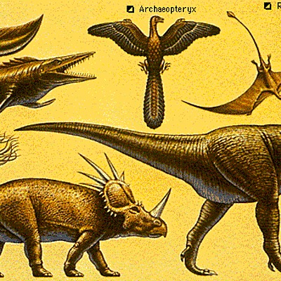 Timeline: Eras geologicas