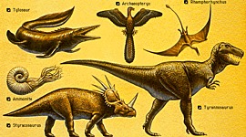 Timeline: Eras geologicas