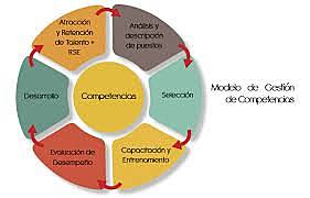 Gestión de la Competencia