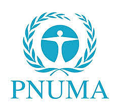 PNUMA