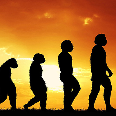 Timeline: ORIXE DO HOME E PROCESO DE HOMINIZACIÓN