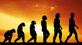 Timeline: ORIXE DO HOME E PROCESO DE HOMINIZACIÓN