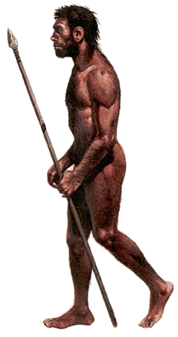 HOMO ANTECESOR(fai 900.000 anos)