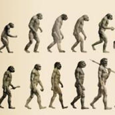 Timeline: EVOLUCIÓN HUMANA