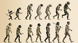 Timeline: EVOLUCIÓN HUMANA