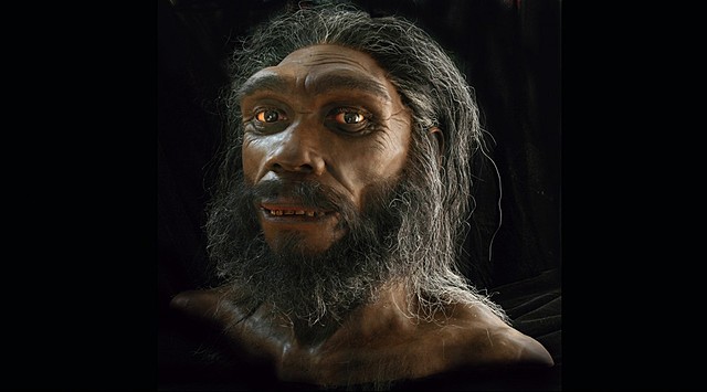 HOMO HEIDELBERGENSIS (500.000 - 200.000 millóns de anos)