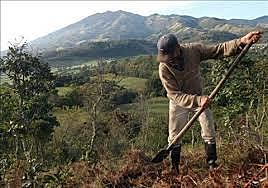 Reconocimiento a la Propiedad Comunal