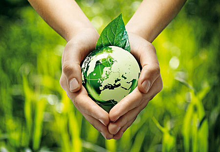 Movimiento ecologista en Estado Unidos.