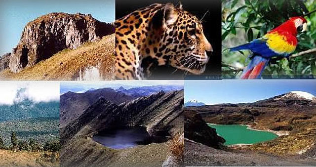 Conferencia sobre la conservación y utilización de los recursos