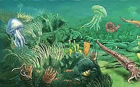 Era Paleozoica 8B Juan Estevan Bravo