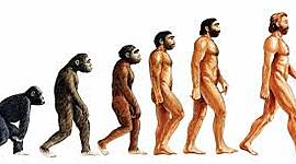 Timeline: LINEA DE TIEMPO: HOMINIZACIÓN