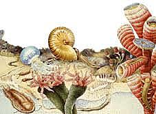 Periodo Silúrico 8B Juan Estevan Bravo