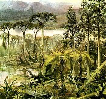 Periodo Carbonífero 8B Juan Estevan Bravo