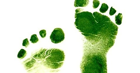 Declaración de Québec - EcoTurismo