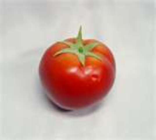 The first commercially GMO food was a tomato called Flavr Savr, was produced by Calgene.