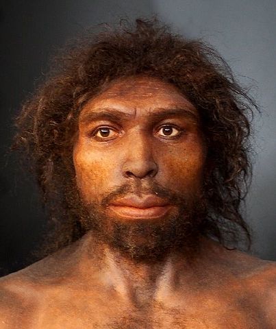 HOMO ANTECESSOR