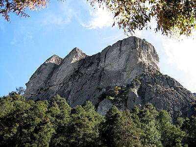 Parque Nacional México Monte Vedado.
