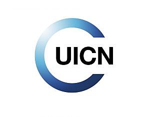 UICN