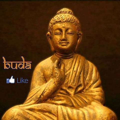 BUDA