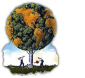 Establecimiento de la Comisión Mundial sobre el Medio Ambiente y el Desarrollo