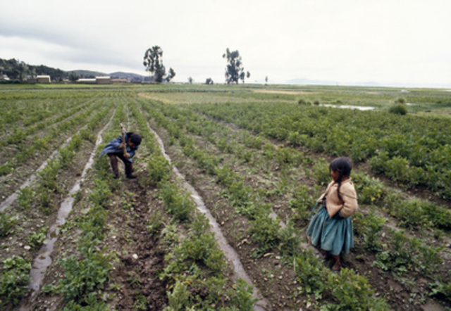 1867 Agricutural Gangs Act (Reform)