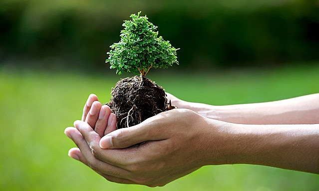 Estrategias sobre la conservación de la naturaleza.