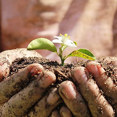 Timeline:  Sustentabilidad Sauri HR