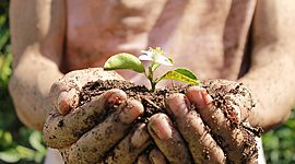 Timeline:  Sustentabilidad Sauri HR