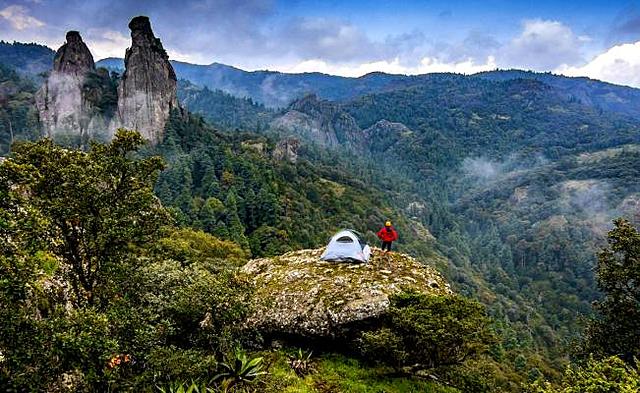 Monte Vedado del Mineral del Chico