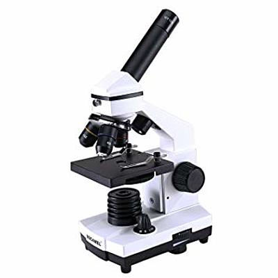 Timeline: Influencia del microscopio en el conocimiento de los seres vivos