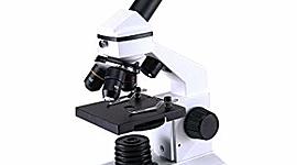 Timeline: Influencia del microscopio en el conocimiento de los seres vivos