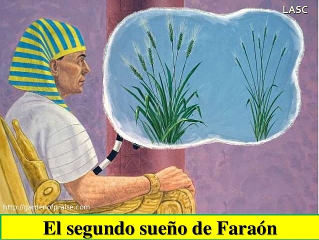 En mi segundo sueño vi siete espigas de grano lleno y maduro que crecían en un solo tallo. Entonces vi siete espigas de grano delgadas y secas. Y las espigas de grano delgadas empezaron a tragarse a las siete espigas buenas.’