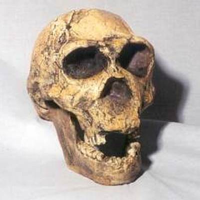 Timeline: Etapas históricas