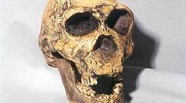 Timeline: Etapas históricas