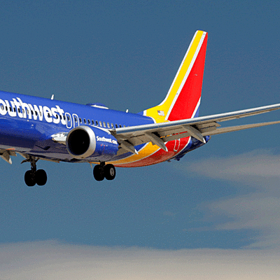 Timeline: ENGLISH PROJECT