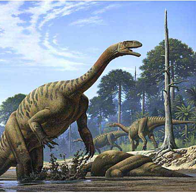 Timeline: As principais etapas da história da Terra